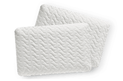 Two Tempur Cloud Pillows